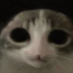 Meet your Posher, Christian